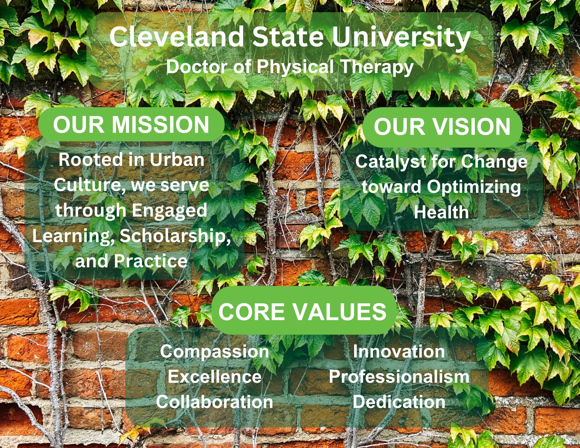 DPT Core Mission Vision