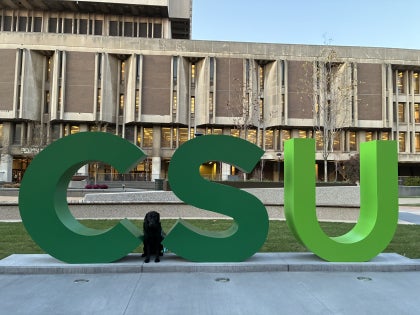 Heddy the dog by new CSU sign
