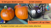 Pumpkin contest with decorated and plain pumpkins